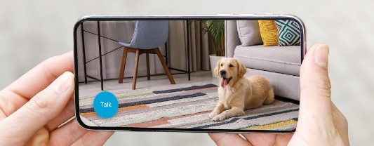 blink-home-monitor-app